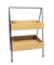 2-Tier A-Frame Decorative Storage Tray with Black Wooden Box Shelves